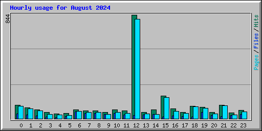 Hourly usage for August 2024